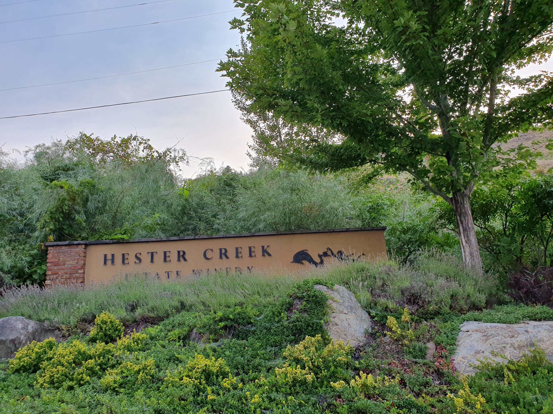 Hester Creek Winery - Tuscany Experience in the Heart of Okanagan