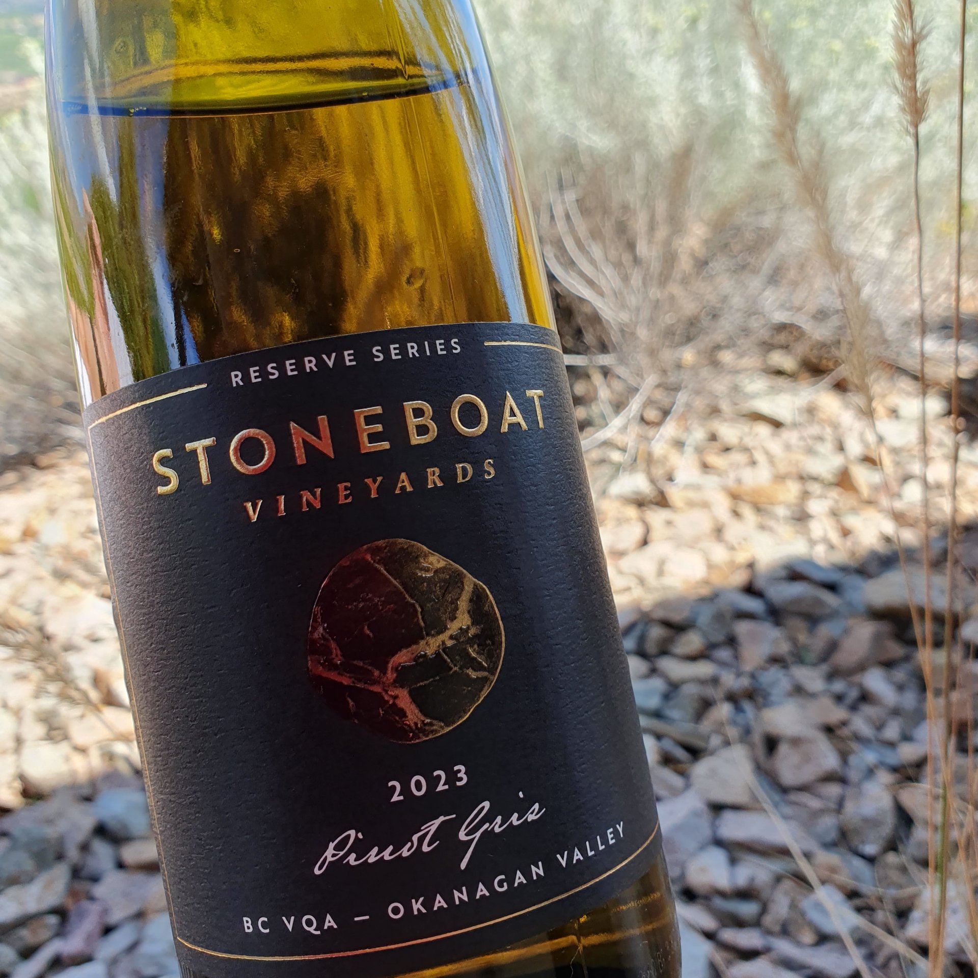 IMG_20240828_130230_784