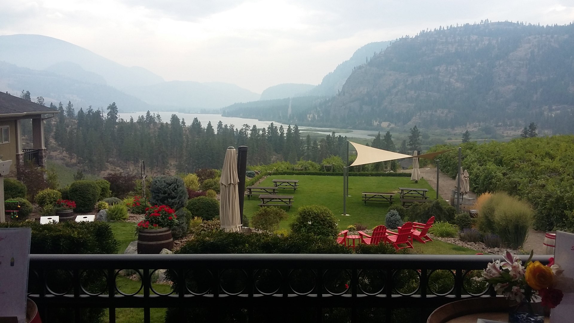 Wines of Okanagan Falls