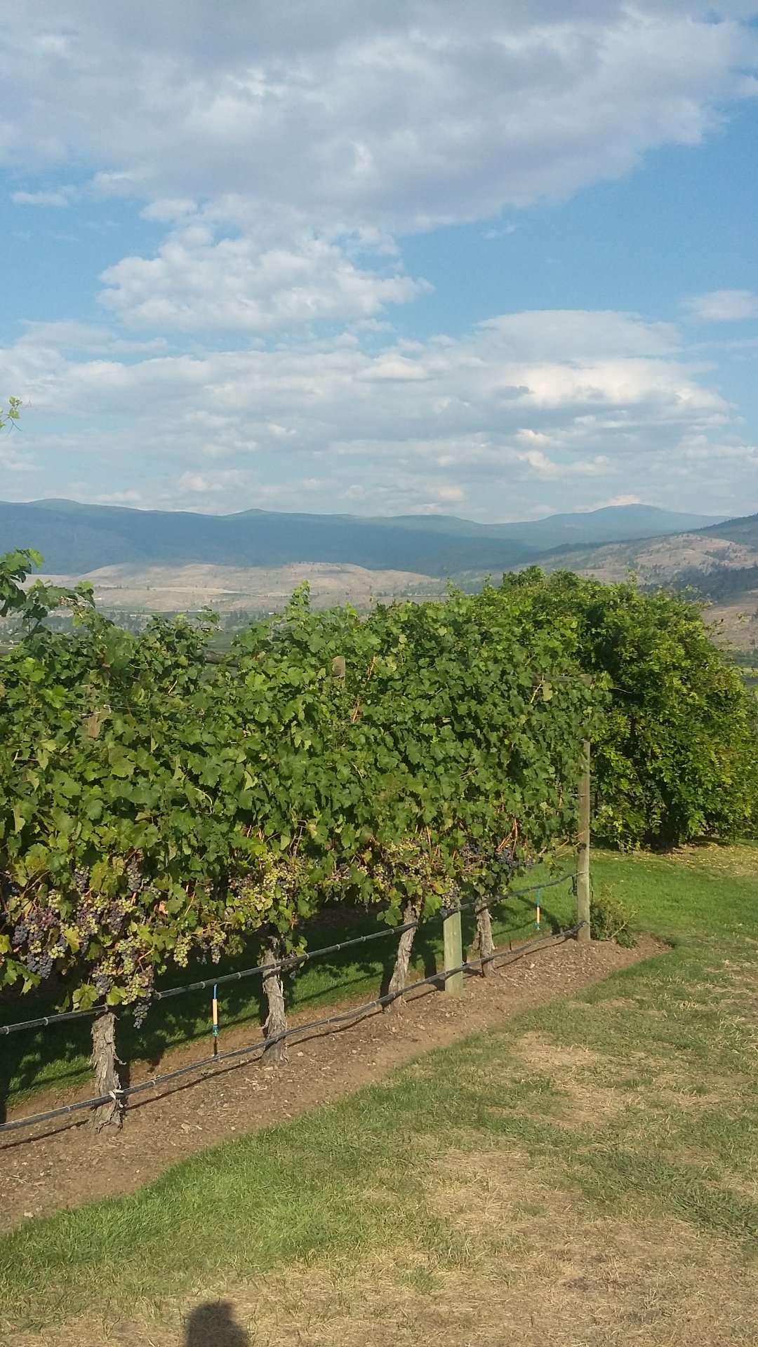 20180830_163330